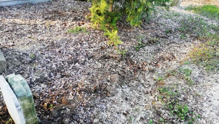 Kabirden toprak hırsızlığı iddiası!