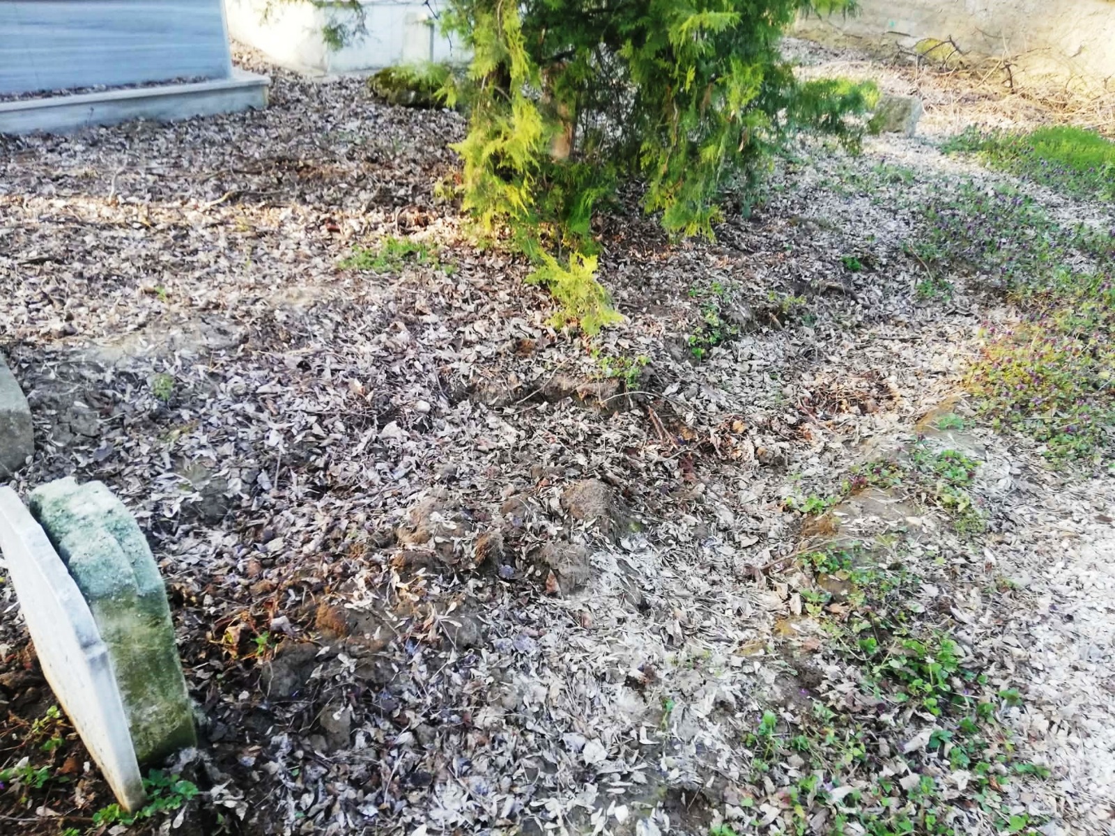 Geçerli görselin alternatif metni yok. Dosya adı: 6f05a506-a5d5-449b-b840-b9a5480ed433.jpg