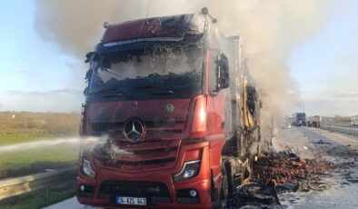 Domates yüklü TIR, yangında kül oldu!