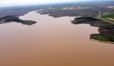 Süloğlu’nun bereketi umudu yeşertti!