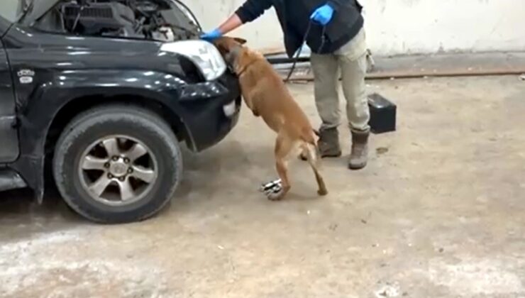 Bulgar sürücüde 8 kilo kokain!