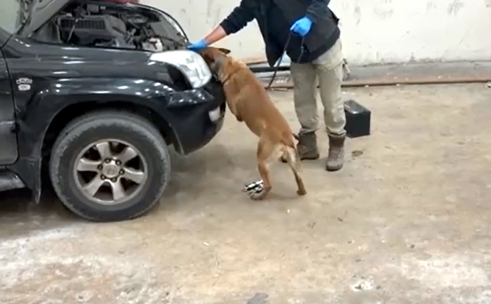 Geçerli görselin alternatif metni yok. Dosya adı: WhatsApp-Image-2026-03-10-at-14.26.21-1.jpeg