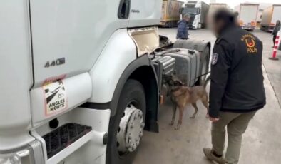 TIR’da 53 kilo skunk ele geçirildi