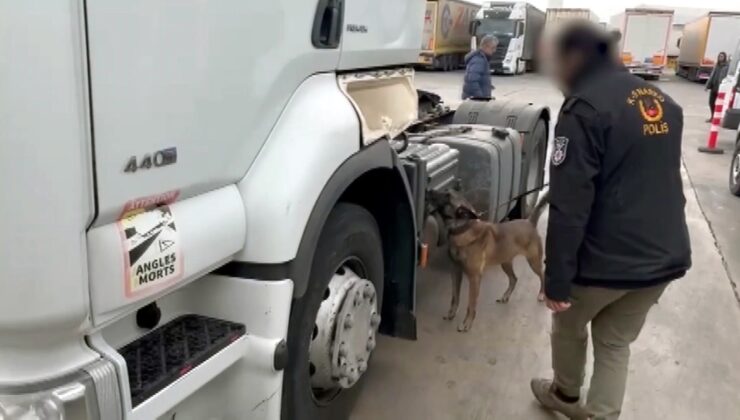 TIR’da 53 kilo skunk ele geçirildi