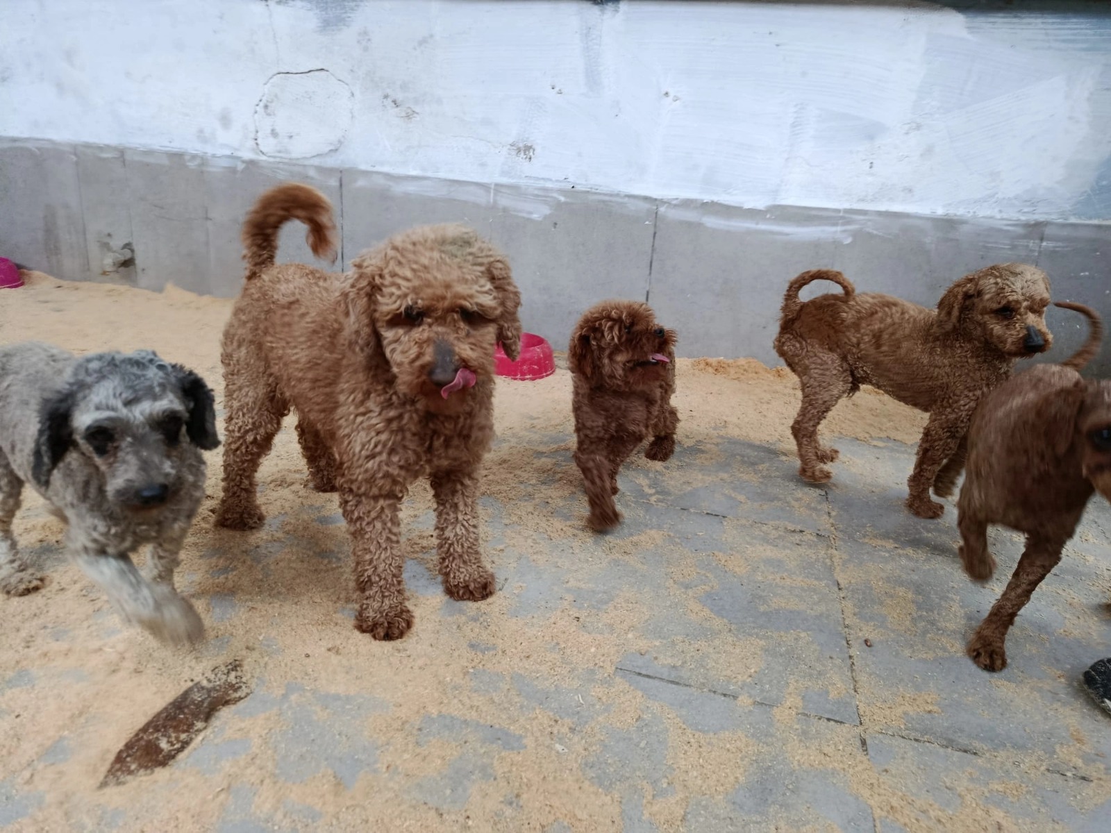 Geçerli görselin alternatif metni yok. Dosya adı: WhatsApp-Image-2026-03-24-at-15.33.24.jpeg