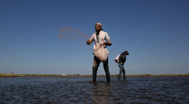 Çeltik ekimi başvuruları başladı
