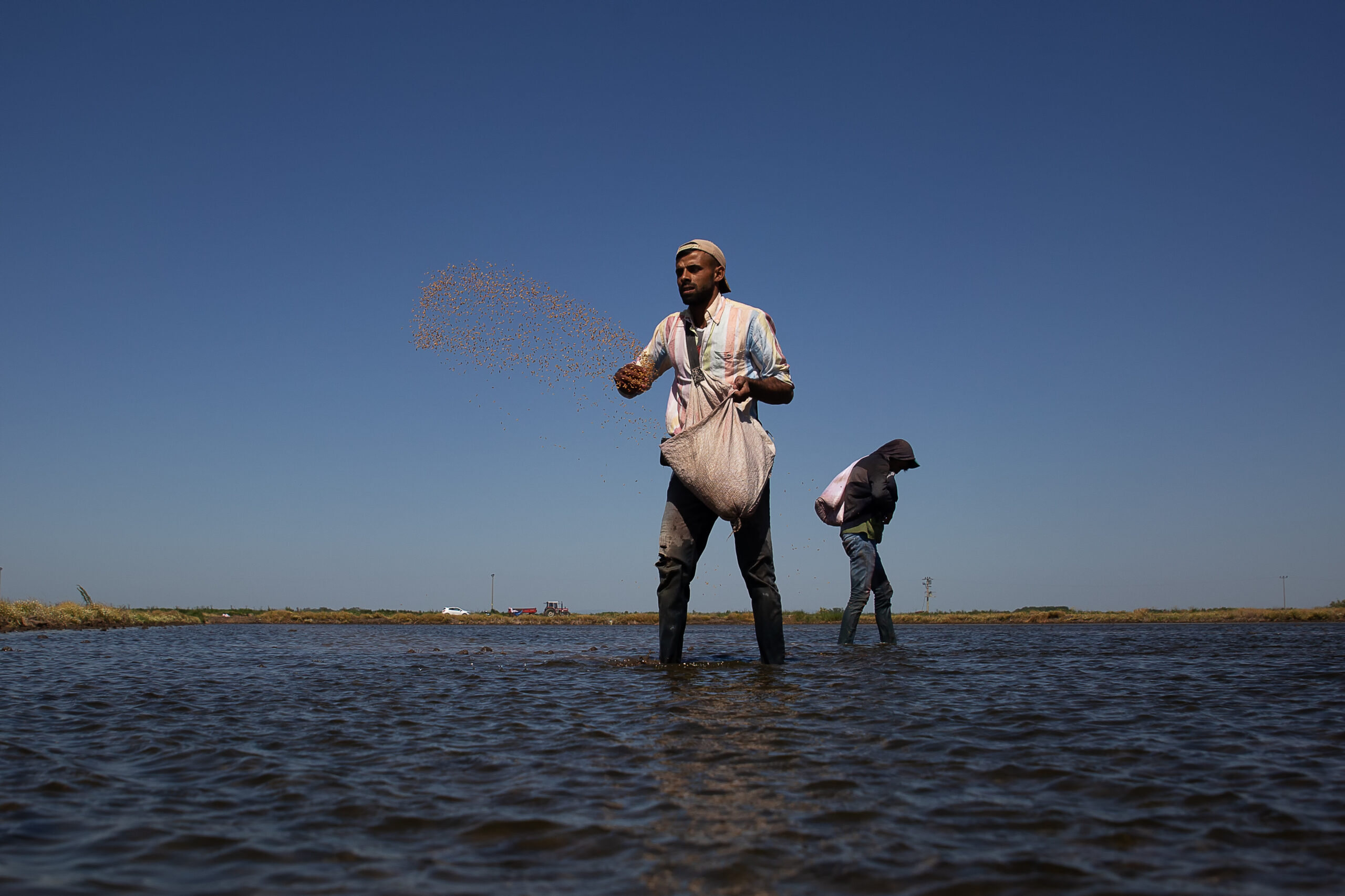 Geçerli görselin alternatif metni yok. Dosya adı: celtik-2024-tatarkoy-2-scaled.jpg