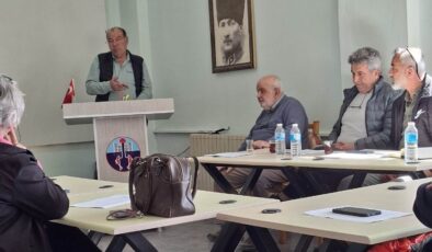 Sivrisinek derdi Enez’i gerdi!