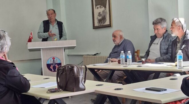 Sivrisinek derdi Enez’i gerdi!