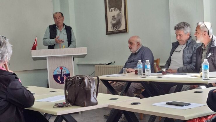 Sivrisinek derdi Enez’i gerdi!