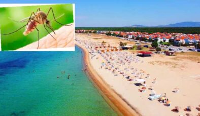 8 milyonluk sivrisinek sorusu