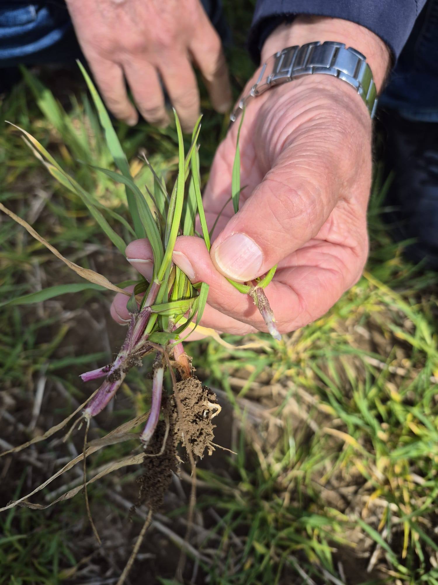 Geçerli görselin alternatif metni yok. Dosya adı: ziraat-odasi3.jpg