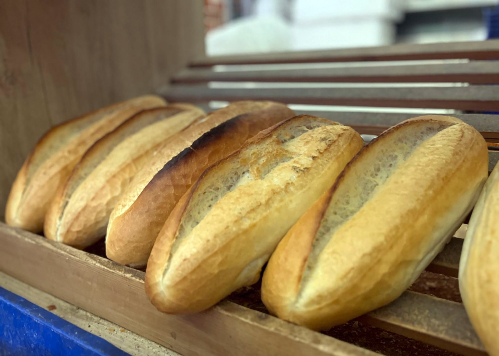 Geçerli görselin alternatif metni yok. Dosya adı: ekmek1.jpg