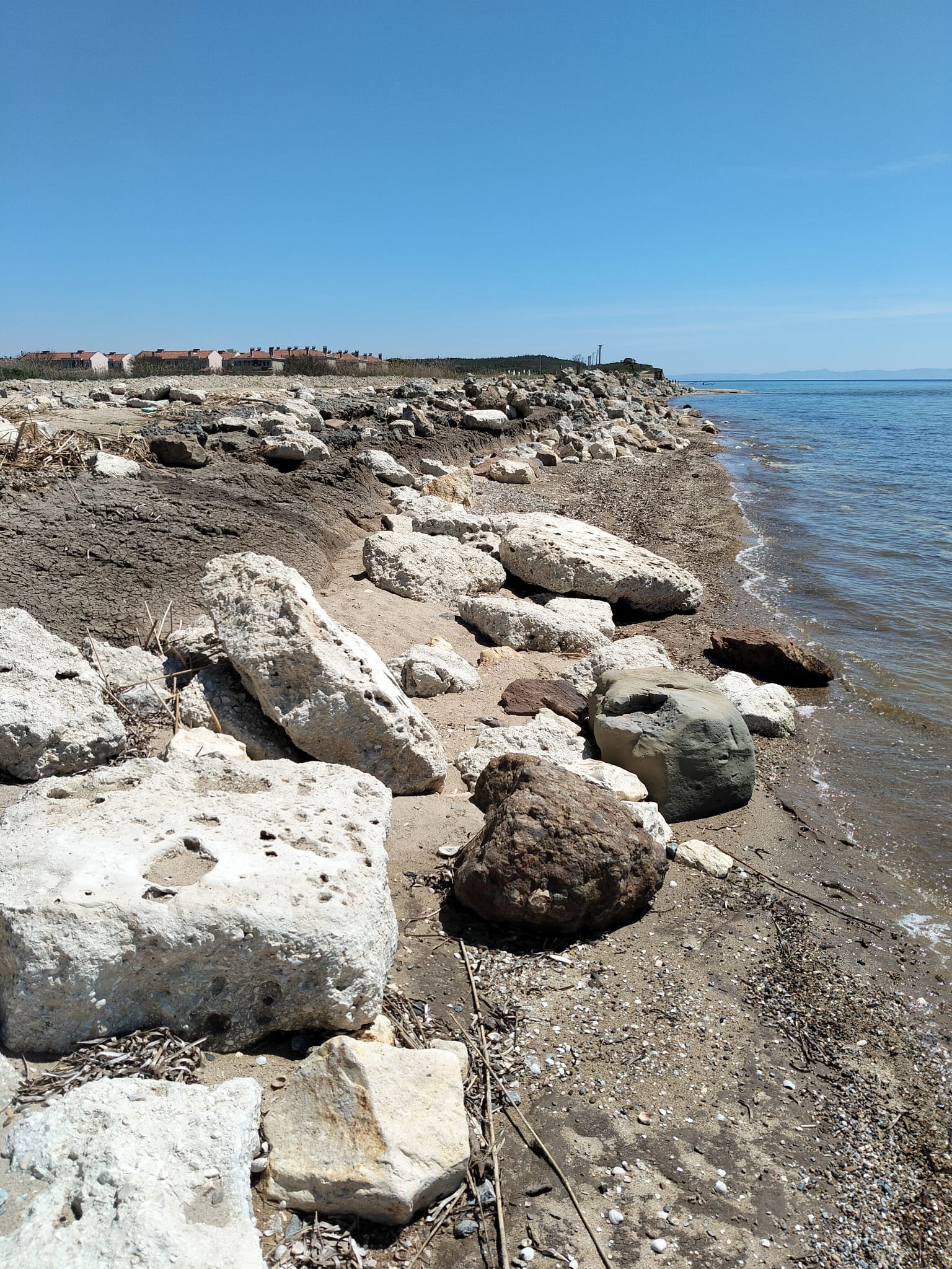 Geçerli görselin alternatif metni yok. Dosya adı: gulcavus.jpg