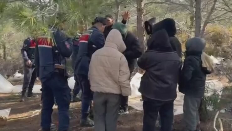 Göçmen kaçakçılarına operasyon