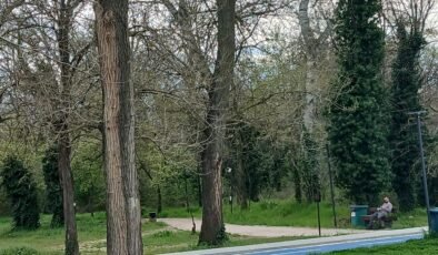 Uyarı levhası korur mu!?