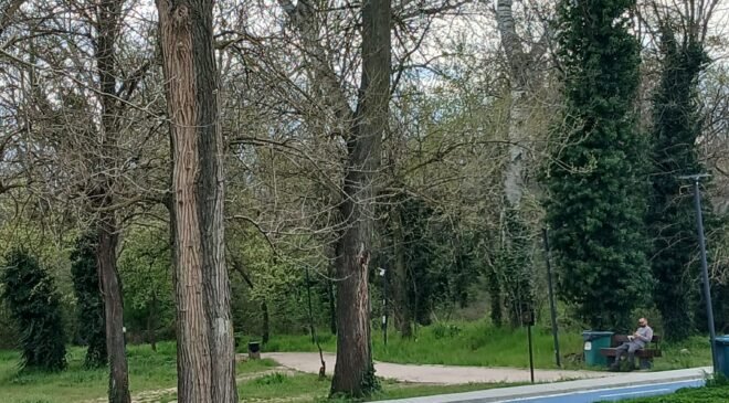 Uyarı levhası korur mu!?