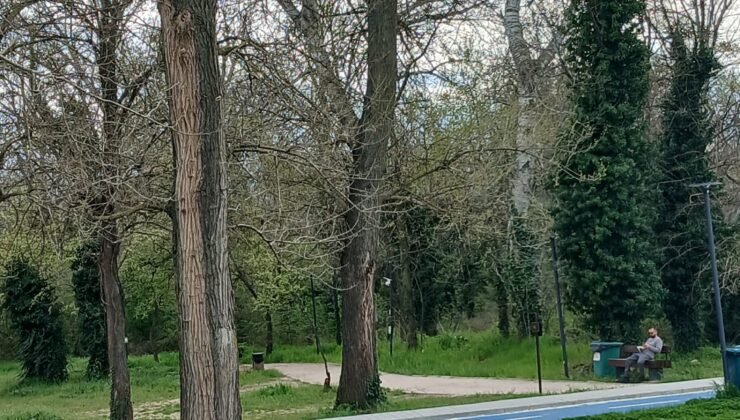 Uyarı levhası korur mu!?