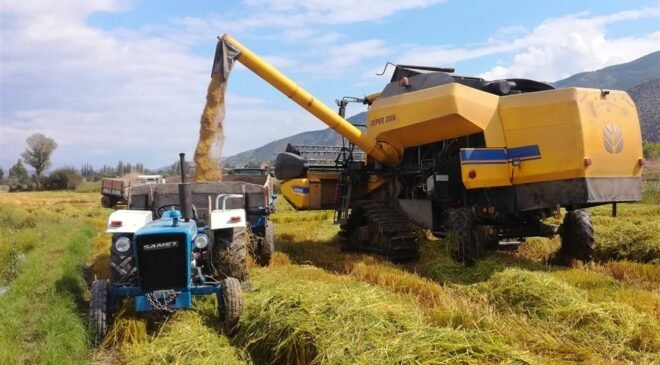 Pirinç ithalatı 5’e katladı