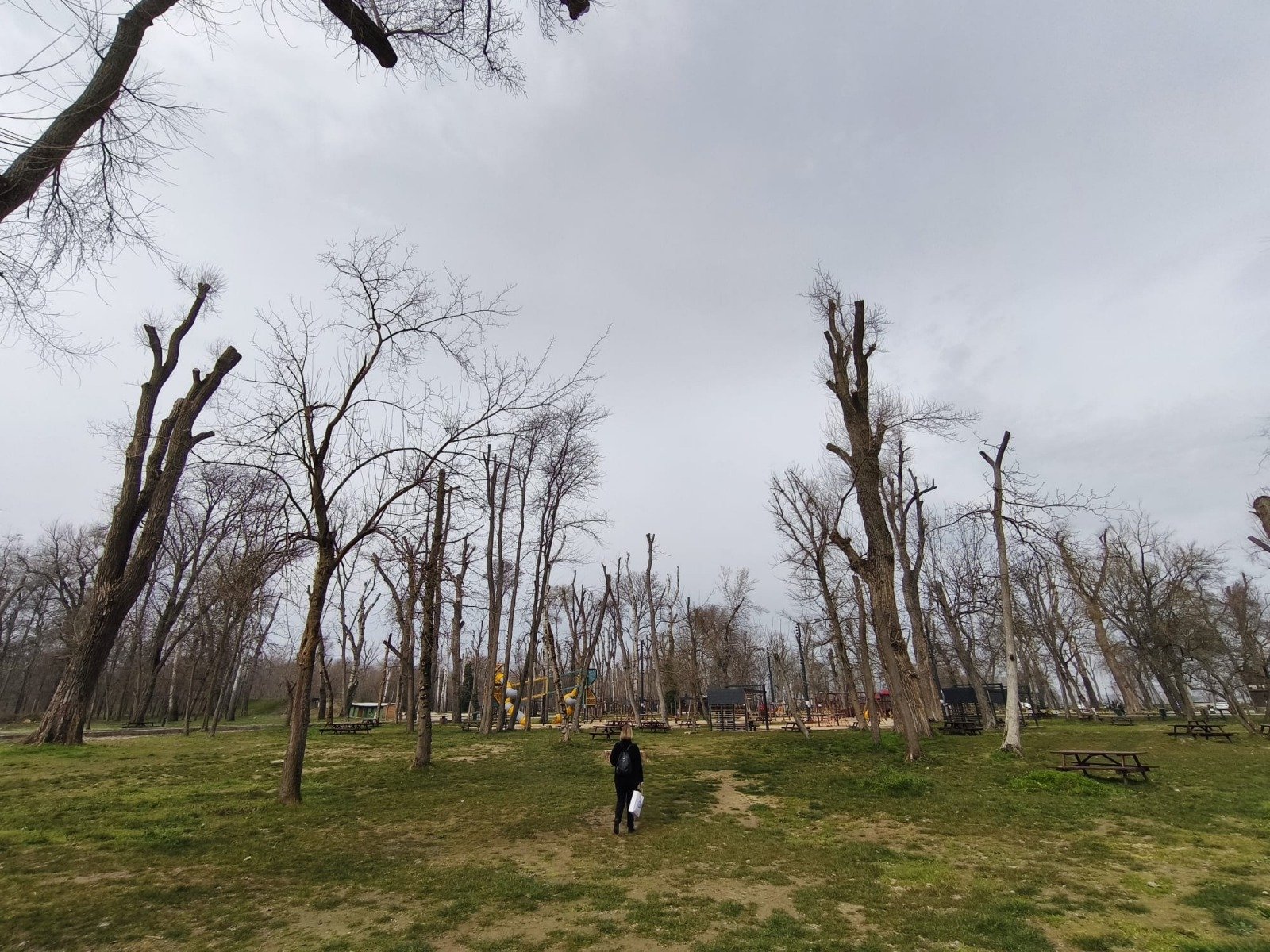 Geçerli görselin alternatif metni yok. Dosya adı: sogutluk.jpg