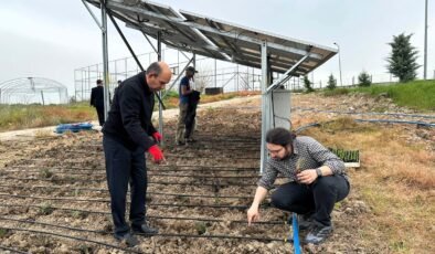 Temiz enerji ile bitkisel üretim