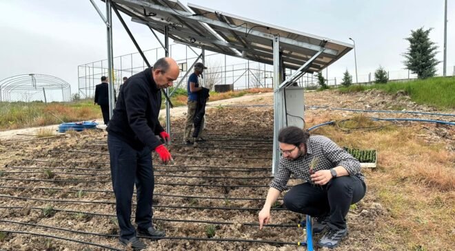 Temiz enerji ile bitkisel üretim
