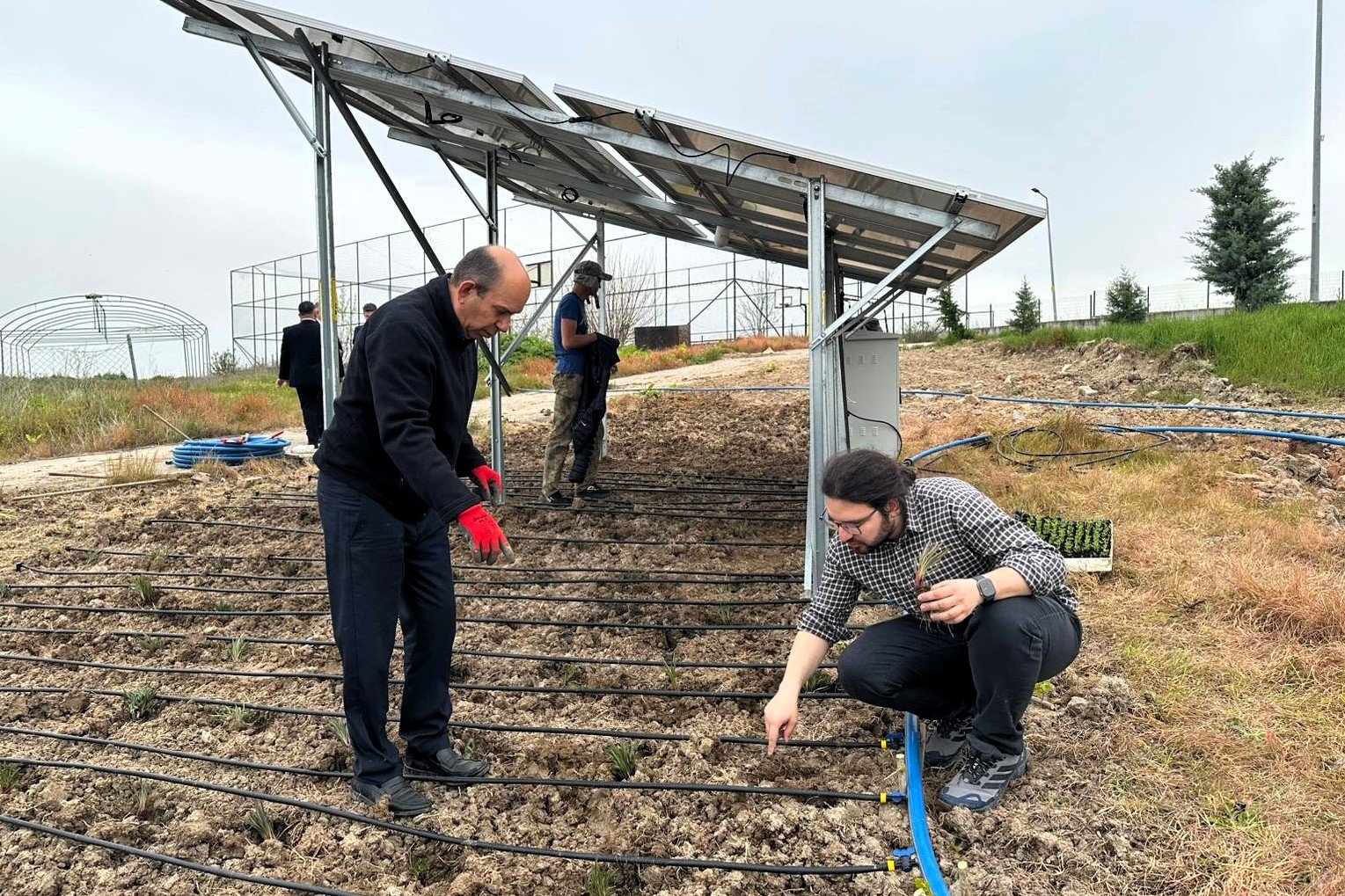 Geçerli görselin alternatif metni yok. Dosya adı: tu-tarla.jpg