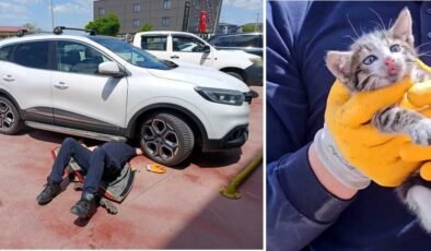 Motorda sıkışan kediye ‘itfaiye’ eli