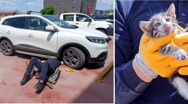 Motorda sıkışan kediye ‘itfaiye’ eli