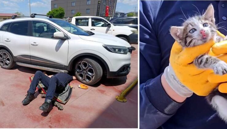 Motorda sıkışan kediye ‘itfaiye’ eli