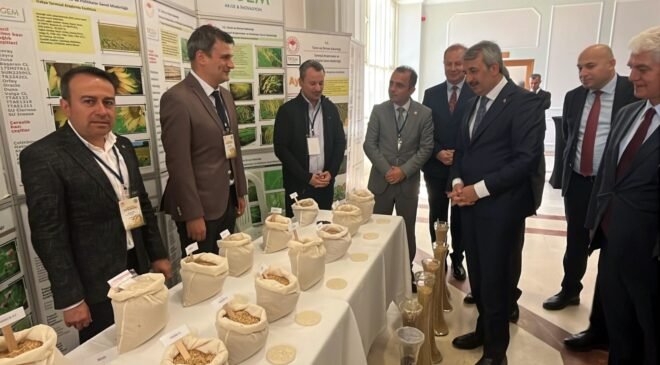 Çeltiğin başkentinde ‘çeltik’ çalıştayı!