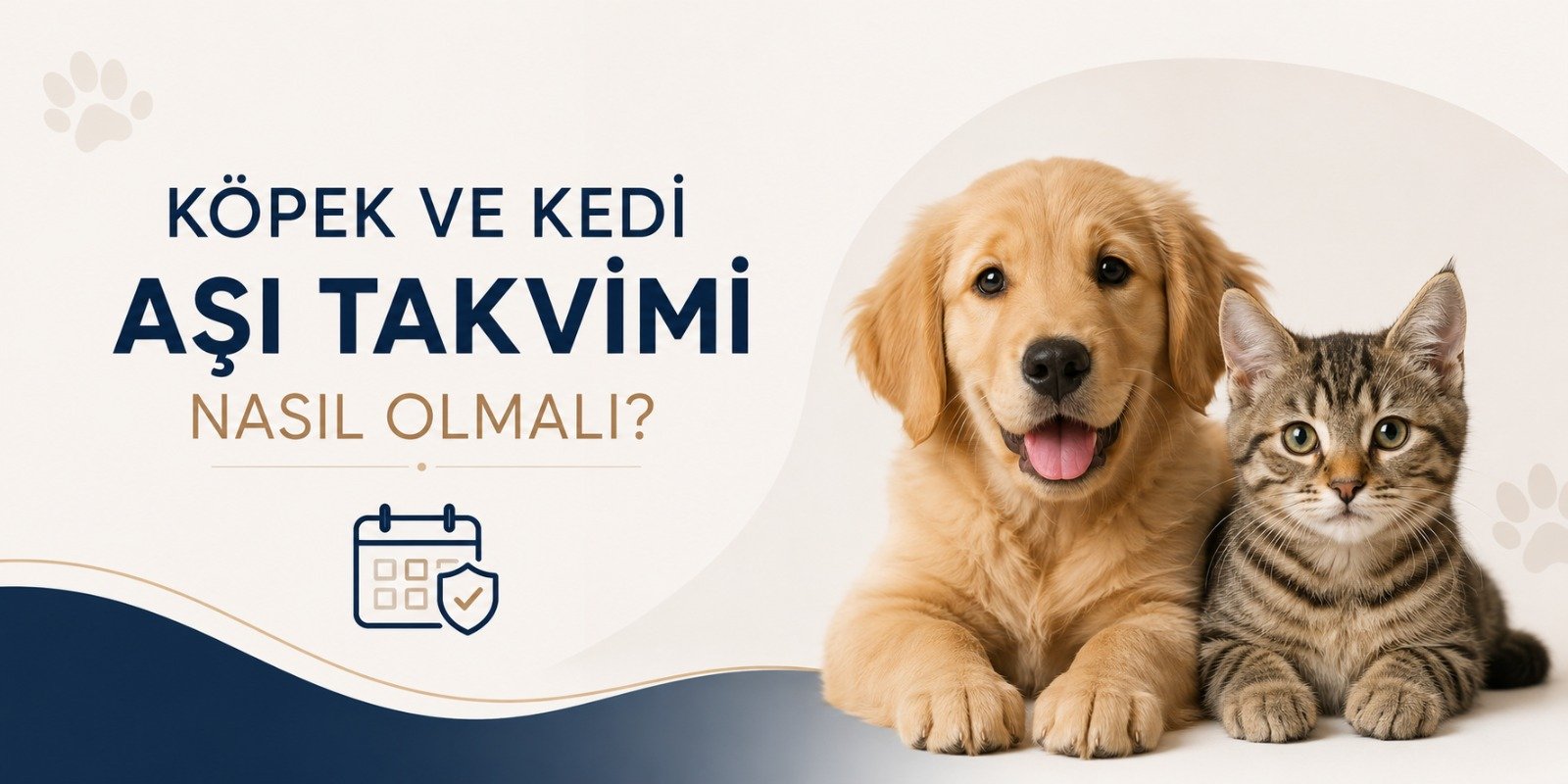 Geçerli görselin alternatif metni yok. Dosya adı: WhatsApp-Image-2026-05-22-at-13.52.17.jpeg