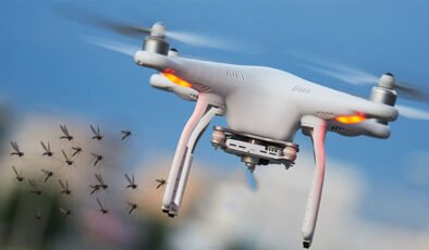 Enez’de sivri ile dronlu mücadele