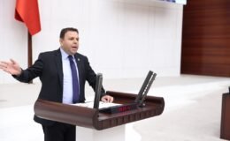 ‘Ayçiçeği ithalatında dünya birincisiyiz!’