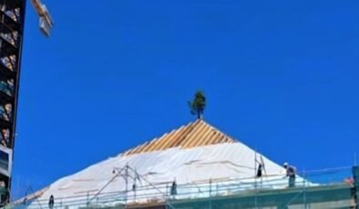 Bayezid Camii çatısına ağaç!