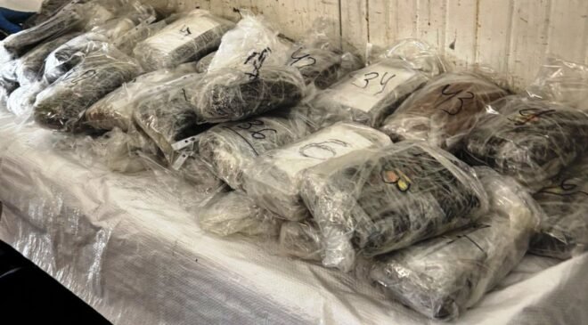 Türkiye’ye giden TIR’da 48 kilo kokain