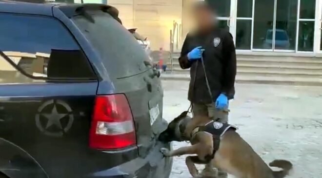 Cipte 90 kilo uyuşturucu!