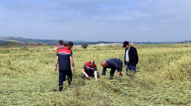 Köylerde dolu hasar tespiti