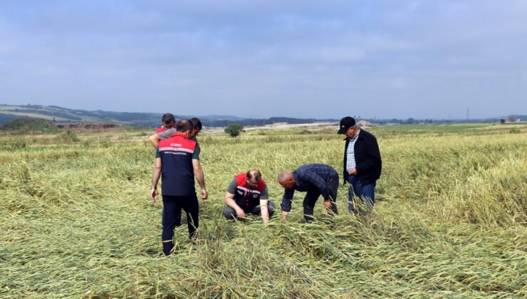 Köylerde dolu hasar tespiti