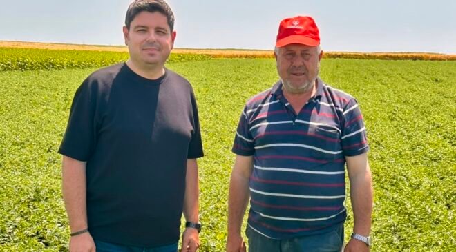 Nohutta 200 kilo verim beklentisi!