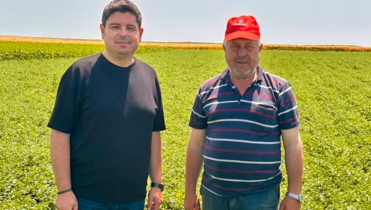 Nohutta 200 kilo verim beklentisi!