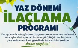 Sivrisinekle mücadele programı