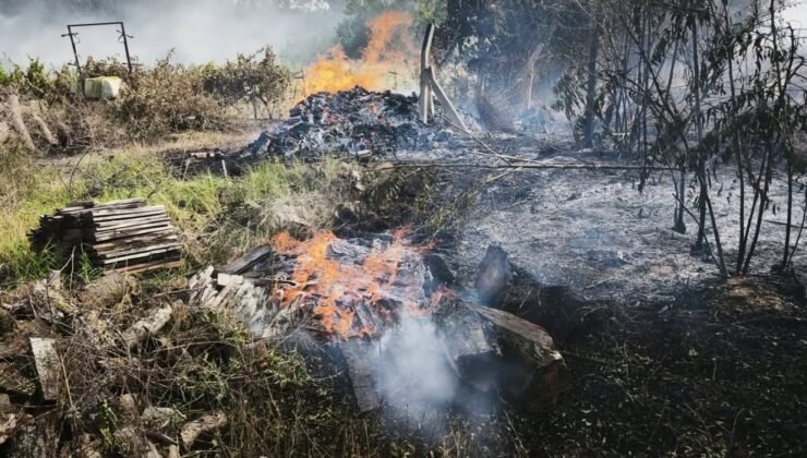 200 dekar alan kül oldu