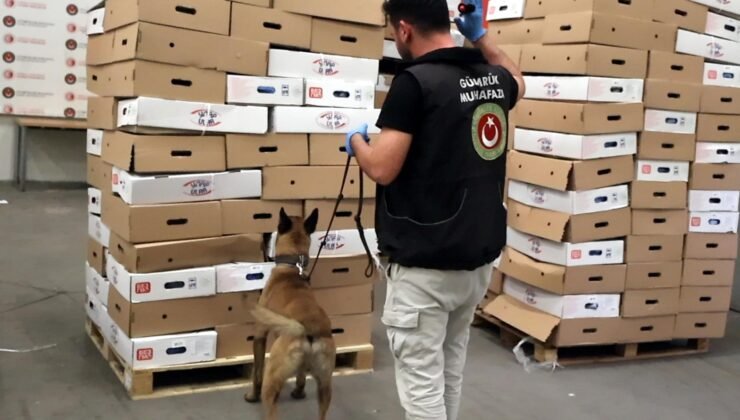 Tavukların arasında 526 kilo uyuşturucu!