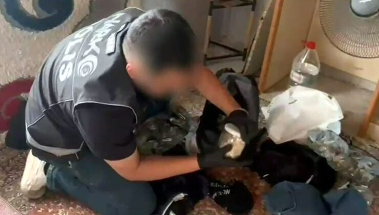 Edirne’de uyuşturucu operasyonu; 2 tutuklama