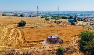 Edirne Belediyesi’nde hasat zamanı!