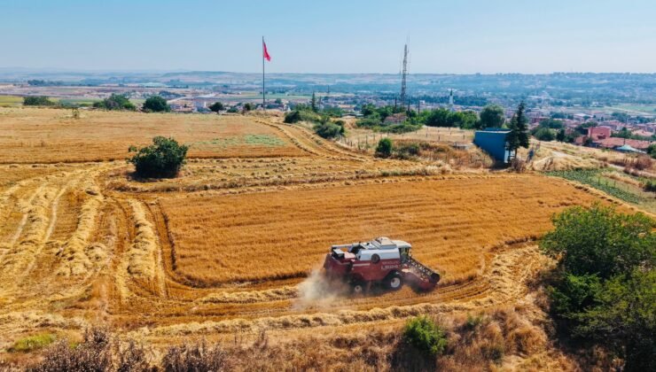Edirne Belediyesi’nde hasat zamanı!