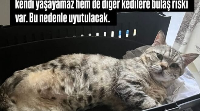Beş günlük ömrü kaldı