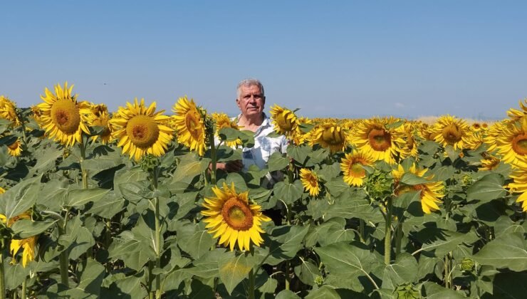 ‘Çiftçimiz karşılığını almalı’