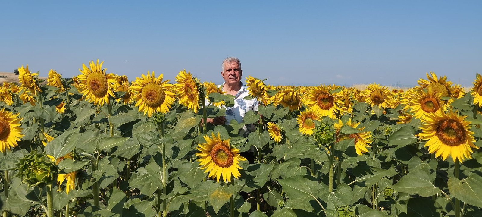 Geçerli görselin alternatif metni yok. Dosya adı: namik.jpg